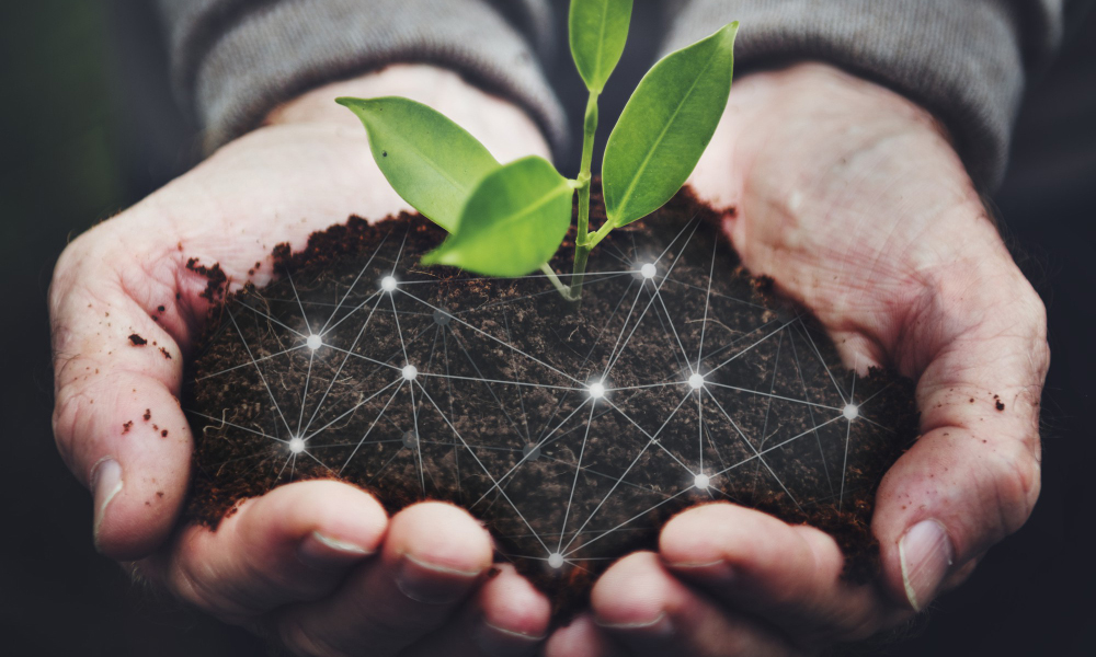 Como começar a usar a tecnologia a favor do meu negócio